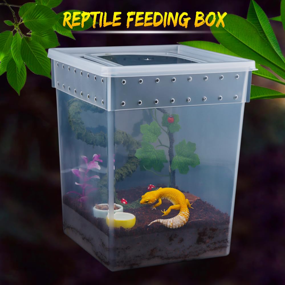 Paquete de 7 cajas de alimentación de reptiles de gran tamaño Gecko de plástico transparente para serpiente, árbol, rana, dragón barbudo, lagarto, araña, mantis rezando (7.8 x 7.8 x 9.8 pulgadas)