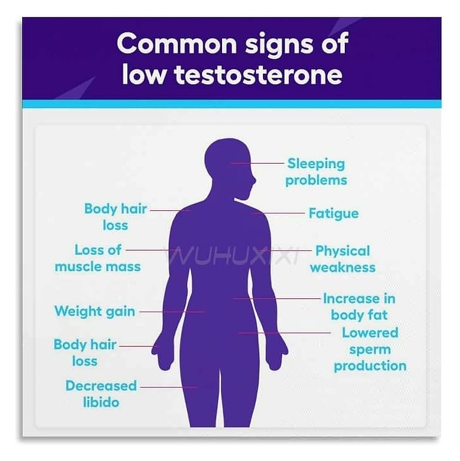 FNYUVNFAF Hormone Imbalance Symptoms Poster Art Print for Living Room Bedroom Wall Decor Home and Office Framed,08x12inch(20x30cm)