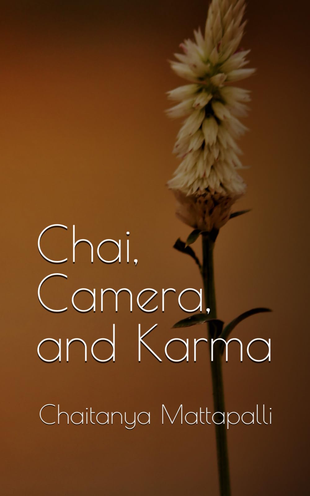 Chai, Camera and Karma: "Friendship, betrayal, and the magic of second chances."