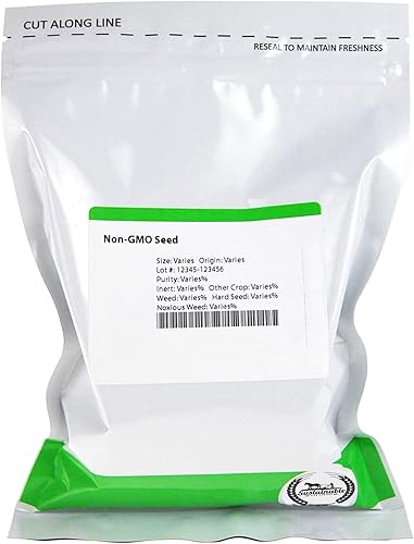 Semillas de mostaza Old Fashioned  1 libra a granel  134,400 semillas  Sin OMG, reliquia, polinizado abierto, semillas de verduras y hierbas