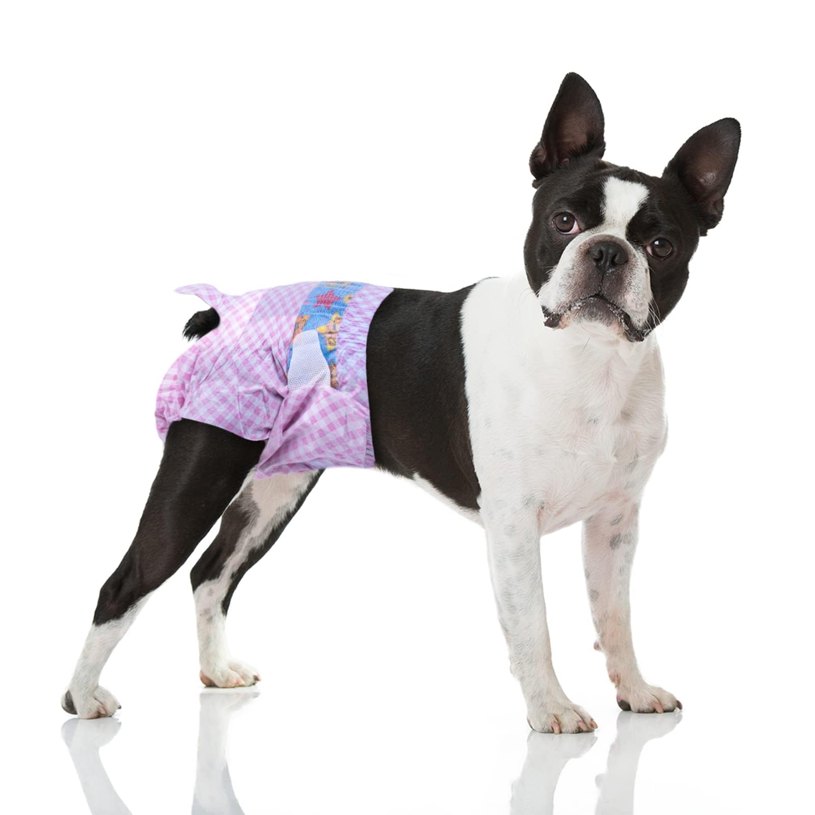 Flying Paws Dog Nappies Female, M-10 Super Absorbent Disposable Diapers with Wetness Indicator