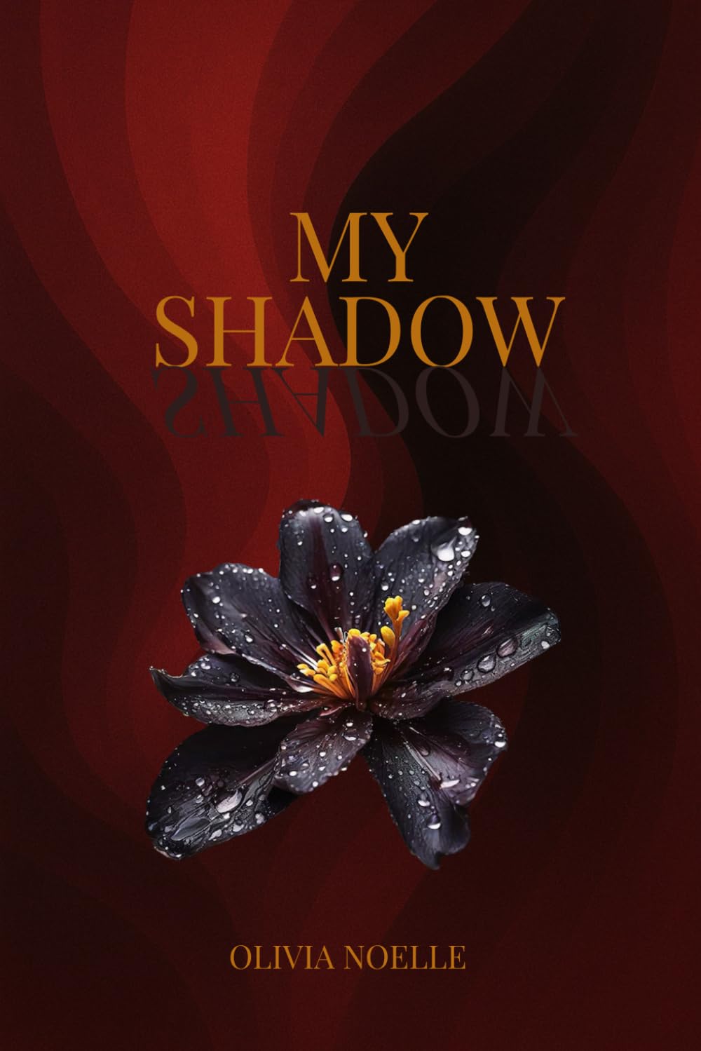 My shadow (Light & Shadow Trilogy)