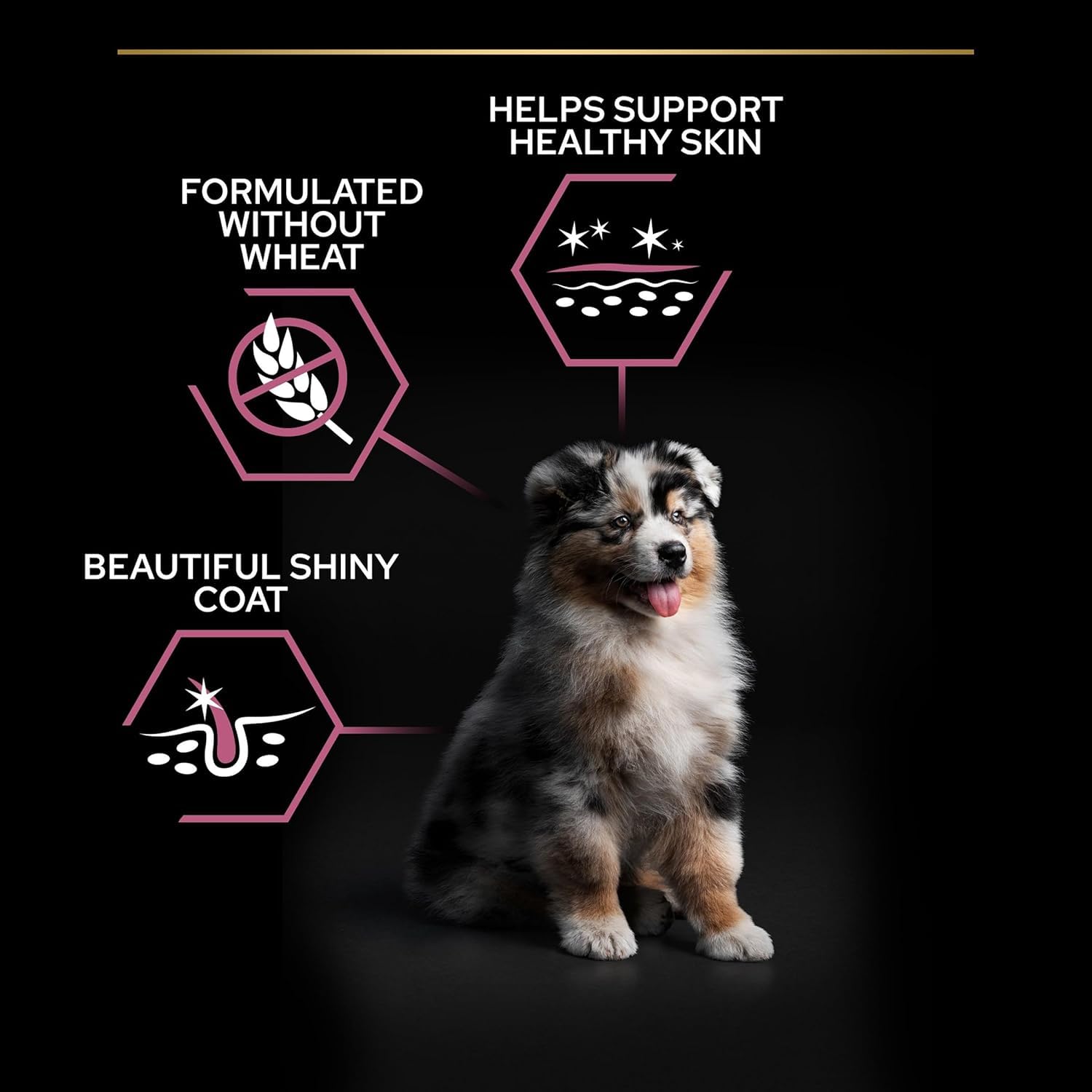 PURINA PRO PLAN | Sensitive Skin | Croquettes complètes pour chiot de moyenne taille | Favorise une peau saine et un pelage brillant | Au Saumon | Croquettes | Sac | 3 Kg