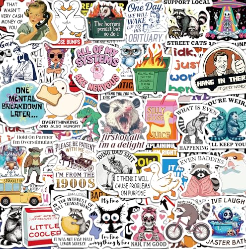 300 Pcs Funny Stickers for Adults Water Bottle Vinyl Meme Laptop Waterproof Cute Sticker Pack Scrapbook Planner Journal Stickers Supplies Gifts for Men Women Hard Hat Bumper