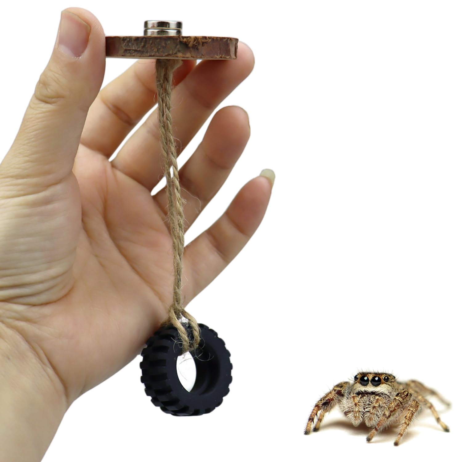 2 Pack Jumping Spider Swing with Magnets for Spoods Pet Spider Jumping Spider Hide Jumping Spider Enclosure Accessories