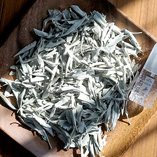 zCgZ[W 򉻗p LUCAS JX ([t̂݁yJtHjAYI[KjbNz) ([t̂ 50gyJtHjAYI[KjbNz)