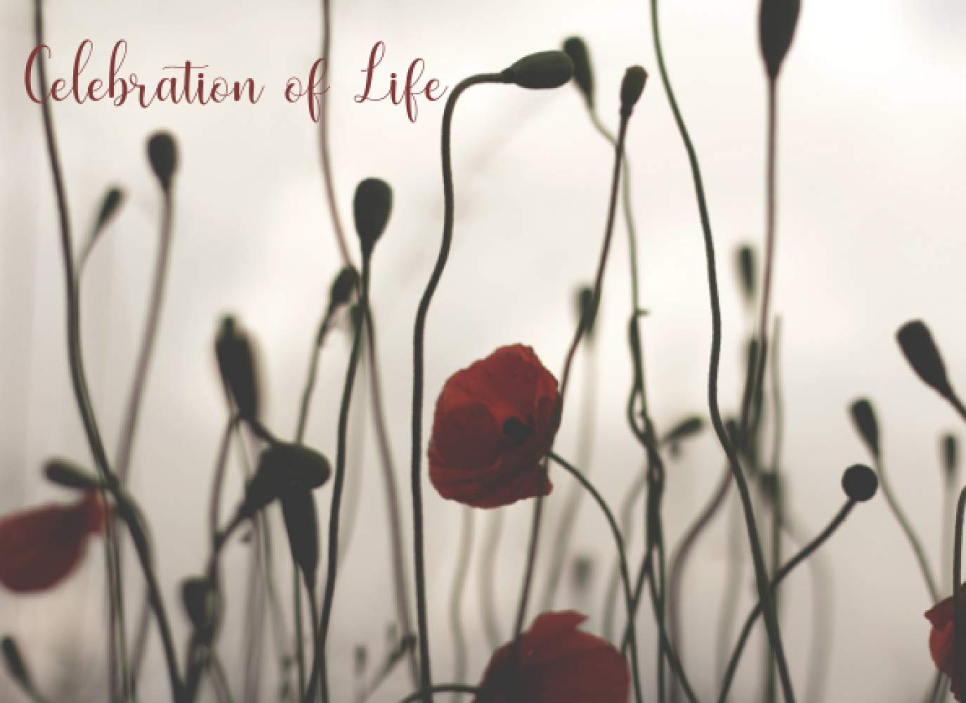 Celebration of Life: Poppy Guest Book for Memorial Service and Funeral Visitors Book to Record Thoughts, Memories and Stories