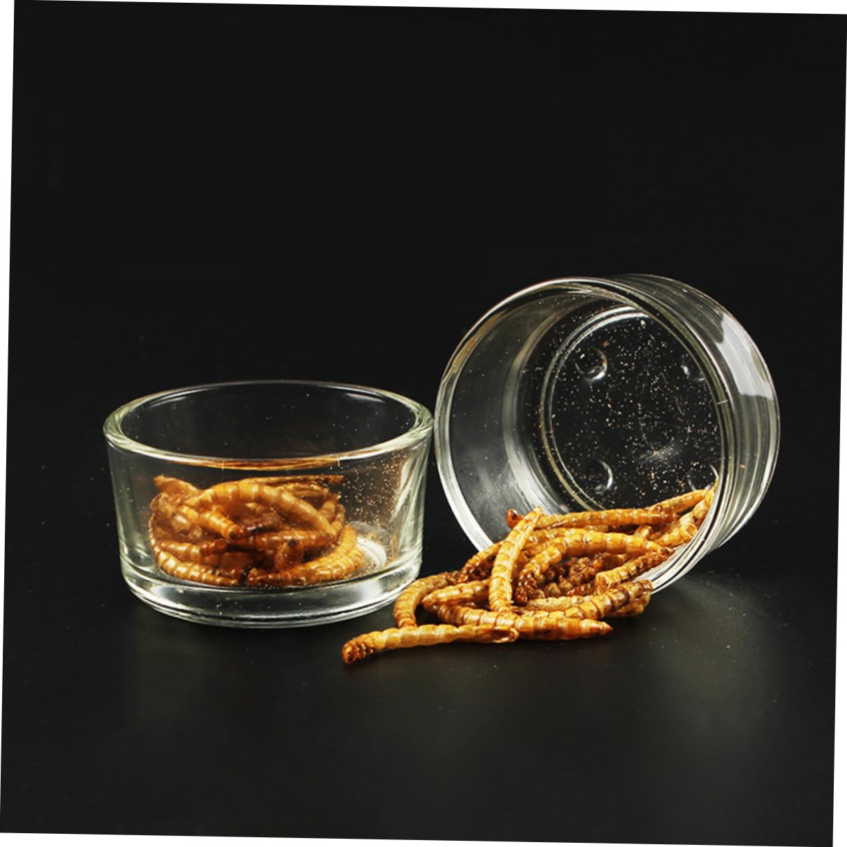 ifundom 4pcs Transparent Glass Pet Reptile Feeder Bowl Multi Functional Water and Food Cups for Reptiles Like Lizard Turtle and Durable and Easy to