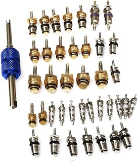 ABOOFAN 40Pcs Air Conditioning Core Tool for Durable Tire Stem Cores for Refrigeration Models Impact Resistant Watertight Resistant