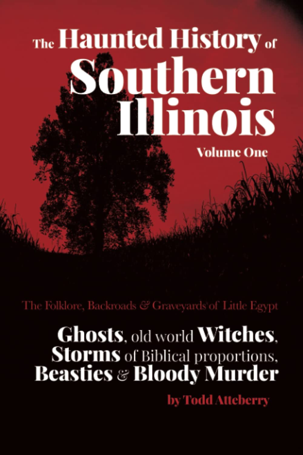 Buy The Haunted History of Southern Illinois The Folklore, Backroads