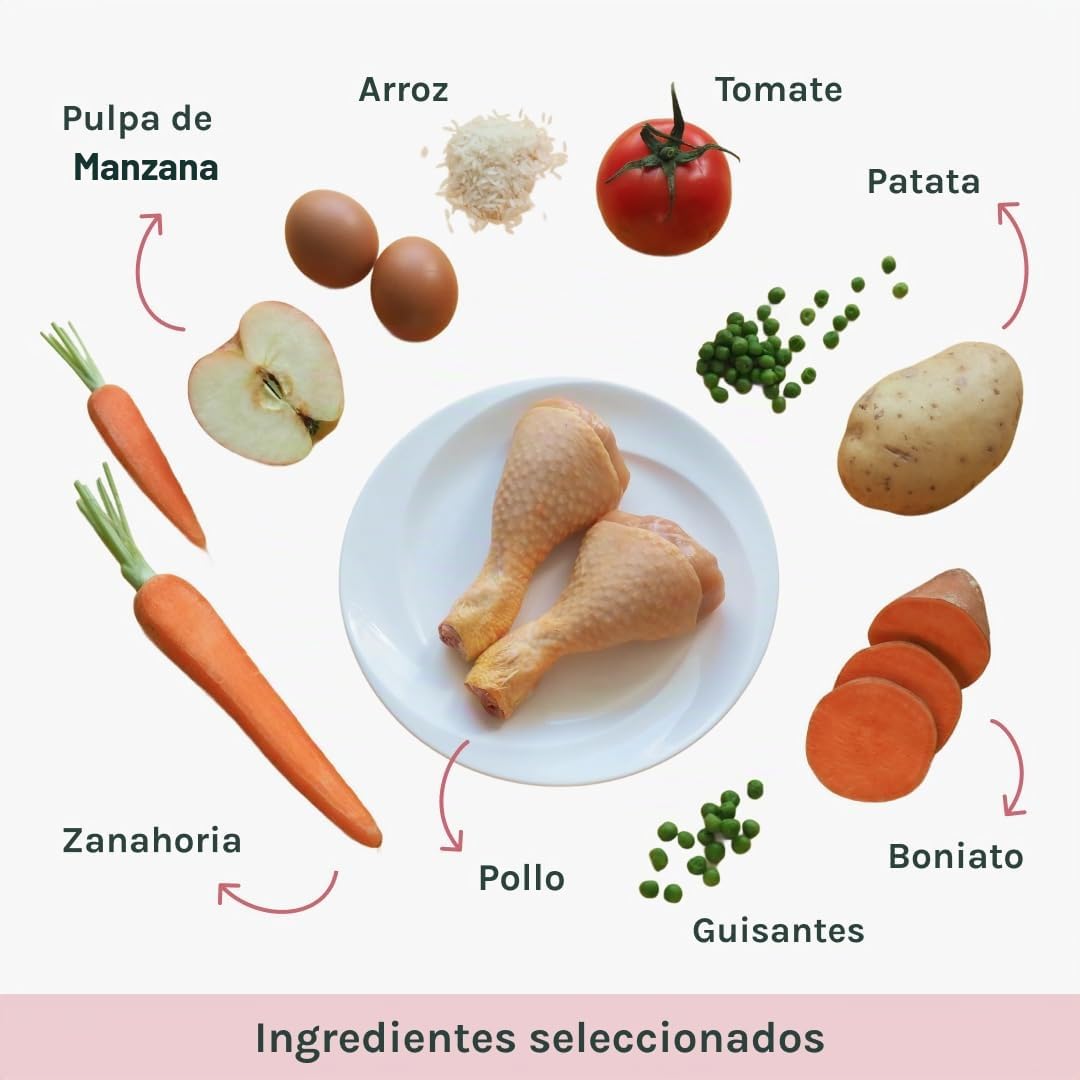 Caty’s Pienso Natural para Gatos Urinary 12 kg - Comida Seca de Pollo y Arroz para Transtornos Urinarios - Facil Digestion Alta Palatabilidad - Producto Nacional 100% (12Kg)