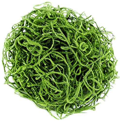 SuperMoss (26927) Spanish Moss Preserved, Grass, 3lbs