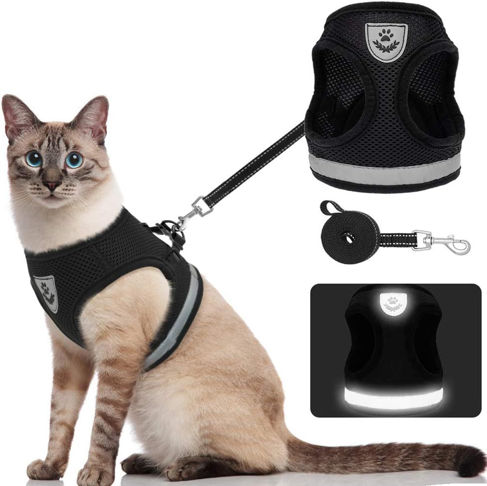 Full cat harness Clearance