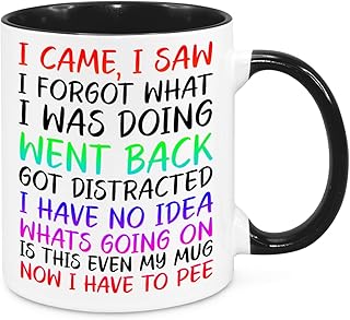 I Came I Saw I Forgot Mug - Funny Novelty Gift Silly Present Mugs for Women Birthday Christmas for Mum Dad Friend Sister for Men Colleague Secret Santa Work Quotes (Rainbow)