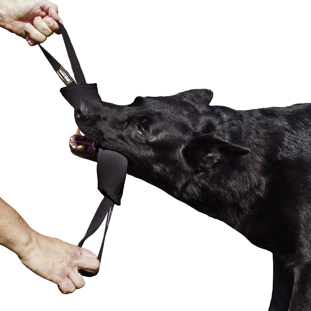 Dingo Gear - Rimorchiatore in Nylon per addestramento Cani IGP & Fun, 2 Maniglie, Nero, 28 x 7 cm