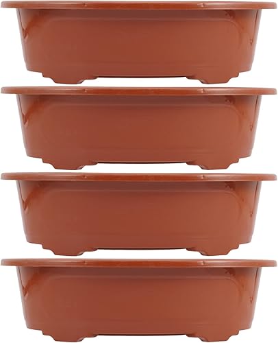 GANAZONO Macetas de 4 piezas para entrenamiento de bonsái, maceta ovalada de plástico, maceta para bonsái, maceta para jardinería, suculentas,
