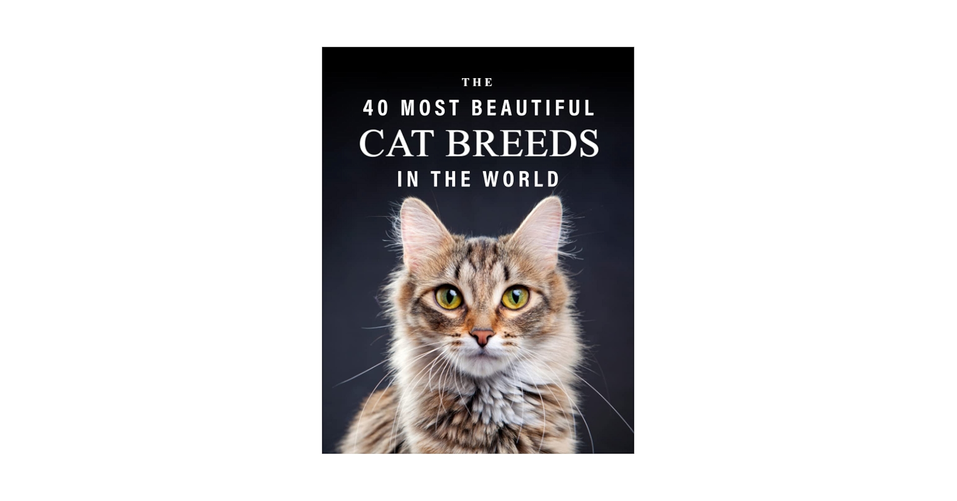 本256／洋書　図鑑　all the World's Cat Breeds 本256／洋書 図鑑 all the World's Cat Breeds - メルカリ