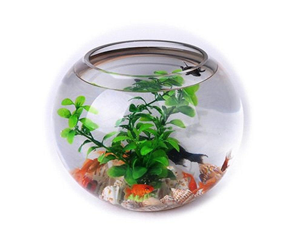 Ardisle Large Fish Bowl Bubble Bowl Glass Table Centrepieces Gold Fish Clear Tank Vase 21cm x 25cm