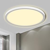 LQWELL® LED Plafoniera, 1.6CM Ultra-Sottile Rotonda Piatta IP44 Lampada da Bagno Impermeabile 24W 3000K 2500LM Moderna per Soggiorno Camera da Letto Cucina Balcone Seminterrato Ufficio, 300 * 16mm