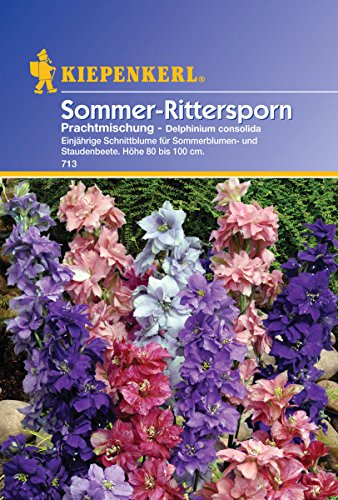 Rittersporn, 'Delphinium'