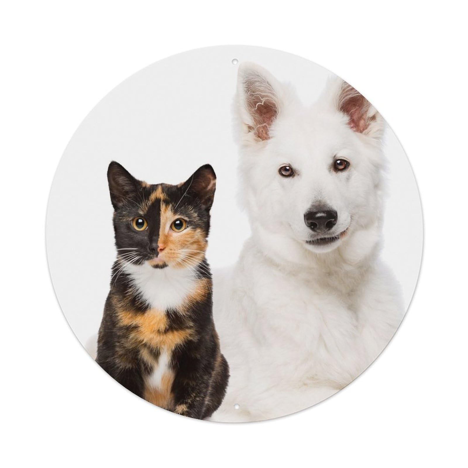 Animals Healing Poster Cat Swiss Shepherd Metal Tin Sign