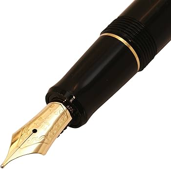 Amazon | パイロット 万年筆 カスタム74、M-ペン種、ブラックの本体