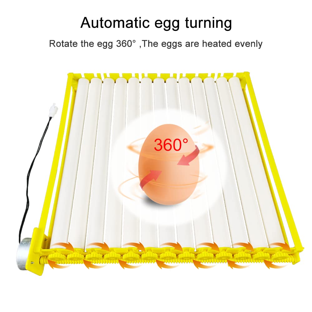 nouveau Design automatique plateau à oeufs rotatif 13 Tubes plateau de tournage d'oeufs avec moteur 12V / 220V éclosoir pour poulets