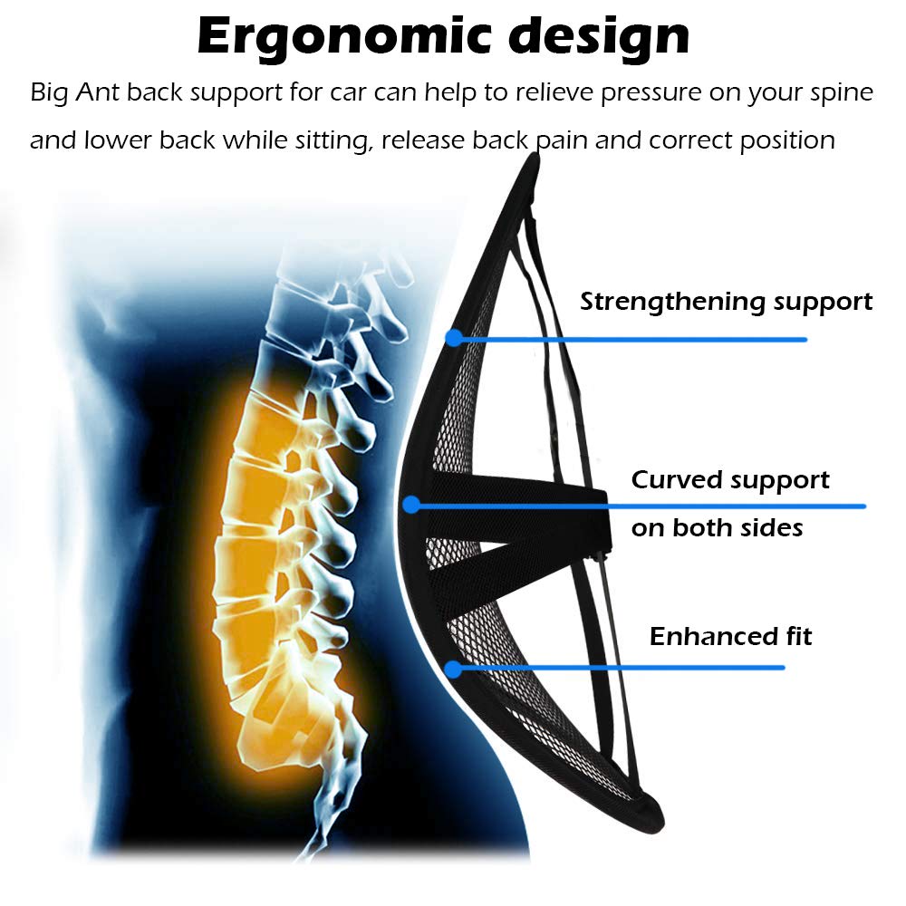 Big Ant Lumbar Support, Car Back Support Mesh Double Layers Ergonomic Designed for Comfort And Lower Back Pain Relief - Car Seat Lumbar Support for The driver, Office Chair, Wheelchair : Health & Household