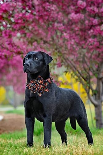 Miniatura 81 de Lionheart glory Collar de perro con bandera estadounidense, collar de flores para perro del 4 de julio, resistente y ajustable, collar patriótico