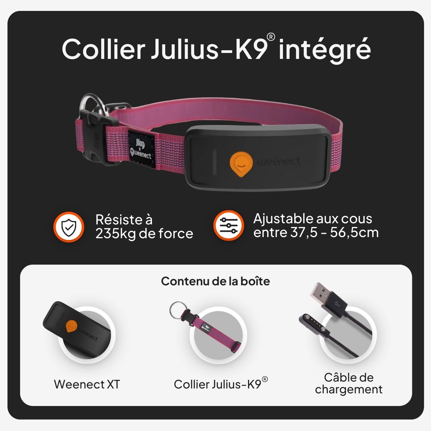 Weenect Chien XT - Nouveau Collier GPS pour Chien | Antenne XL | Etanche | Collier Hyper résistant intégré Julius-K9 | Garantie à Vie | Abonnement Requis