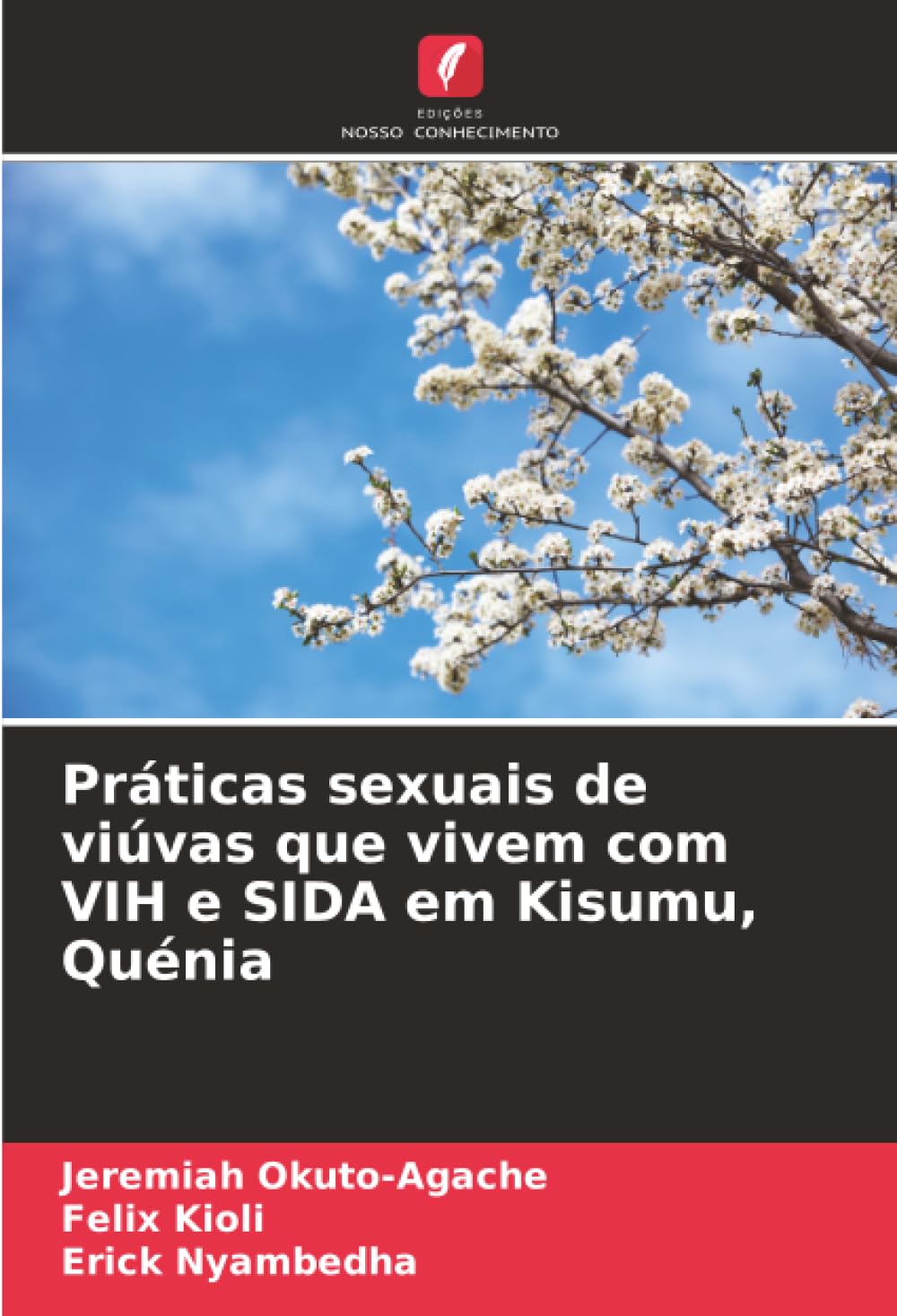 Práticas sexuais de viúvas que vivem com VIH e SIDA em Kisumu, Quénia