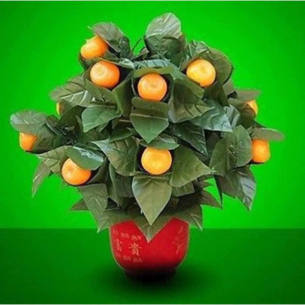 Blooming Oranges – Télécommande (10 oranges, version à piles), tours de magie, oranges apparaissent Vanish Magia Scène, fête, mariage, comédie
