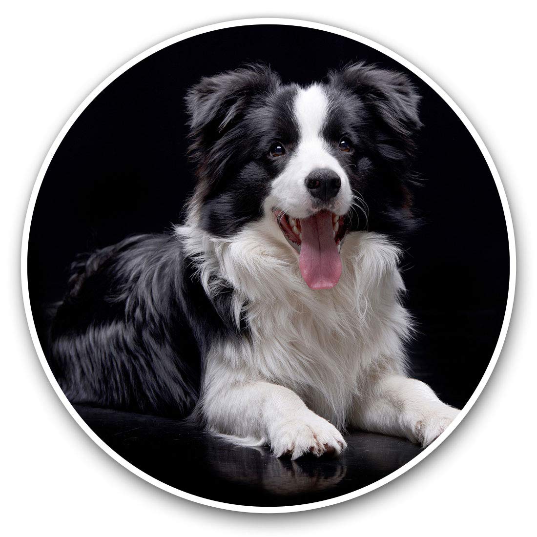 Destination Vinyl Ltd Black Border Collie Farm Dog Puppy 21376 Vinyl Stickers (Set Of 2) 20Cm - Black Border Collie Farm Dog Puppy #21376