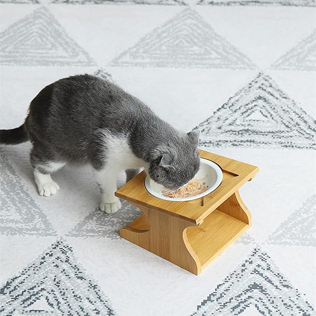 Foto 2 de 8 de Petsoigné Cuenco para Gatos Perros Elevado Comedero Gato Perro en Cerámica/Acero Inoxidable con Soporte…