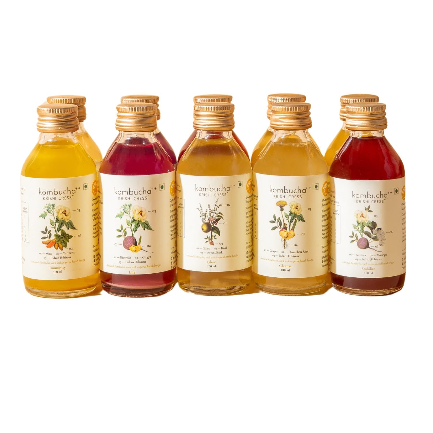 Krishi Cress Kombucha++ Assorted Trial Pack | Probiotic Kombucha Tea Drink | 100ml, Pack of 10 (B0D8W2261W) Amazon Price History, Amazon Price Tracker