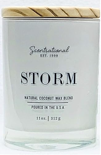 Vela perfumada de coco natural + cera de abeja Storm (todas las tapas) en tarro blanco brillante con tapa de madera, 11 onzas