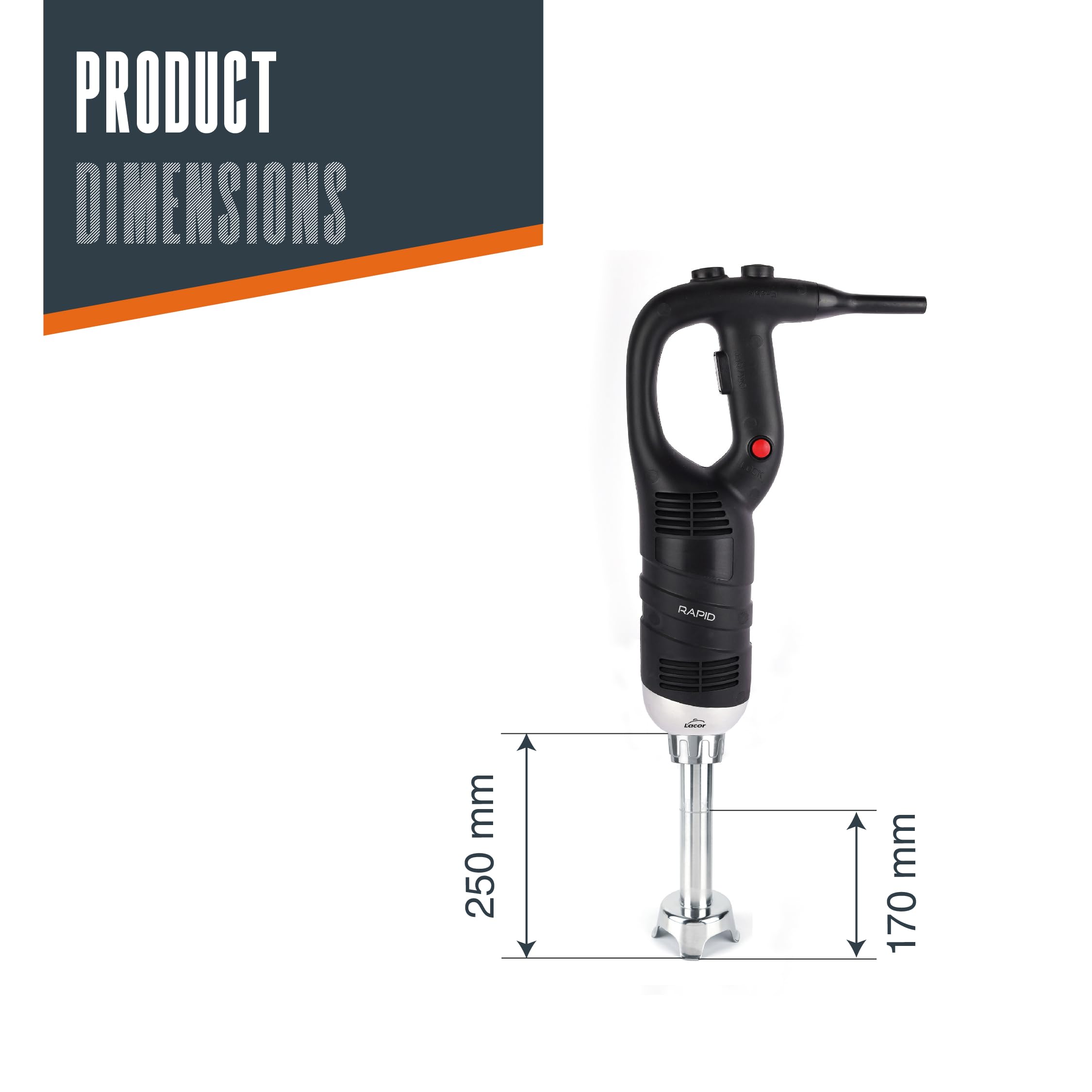 Lacor - 69905 - Frusta Rapida Professionale, con Braccio Frantoio Intercambiabile, Serie 450 W, Velocità 6.000-20.000 giri/min, Acciaio Inox, Capacità 30 L, 25 cm