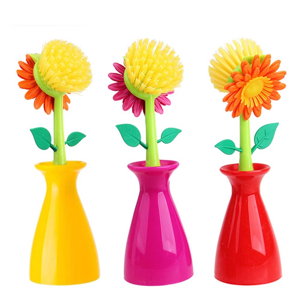 Vase Sponge Facts Decor For You