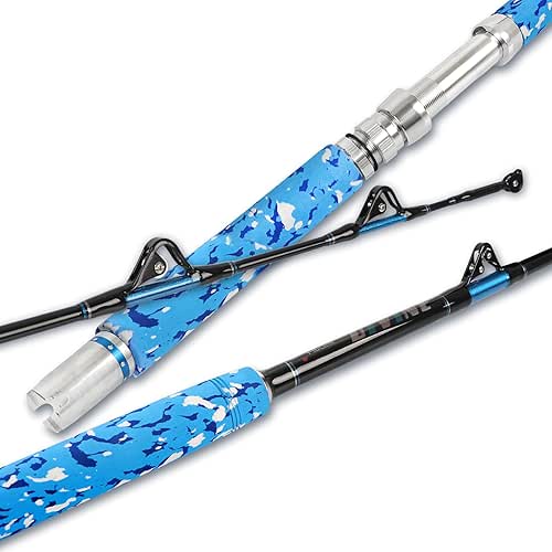 Bank Fishing Rod The Ultimate 15 Bank Fishing Rod: Perfect Gear For Shore Anglers