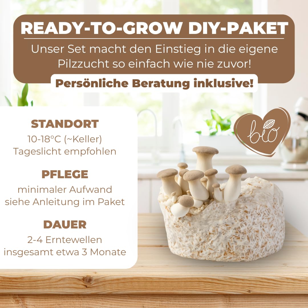Hawlik Pilzbrut - Pilzzuchtset Bio Kräuterseitlinge - Pilze züchten Set mit Substrat, Myzel und Anleitung - Kinderleichte Pilzzucht ohne Vorwissen - Kräuterseitlinge züchten in Haus & Garten