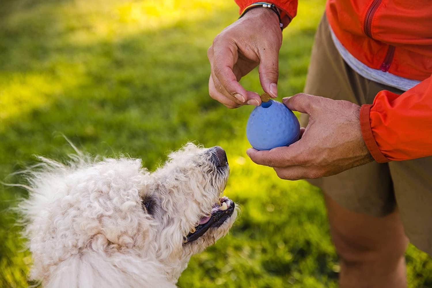 Amazon | RUFFWEAR(ラフウェア) ターンアップ ヘリオトロープパープル
