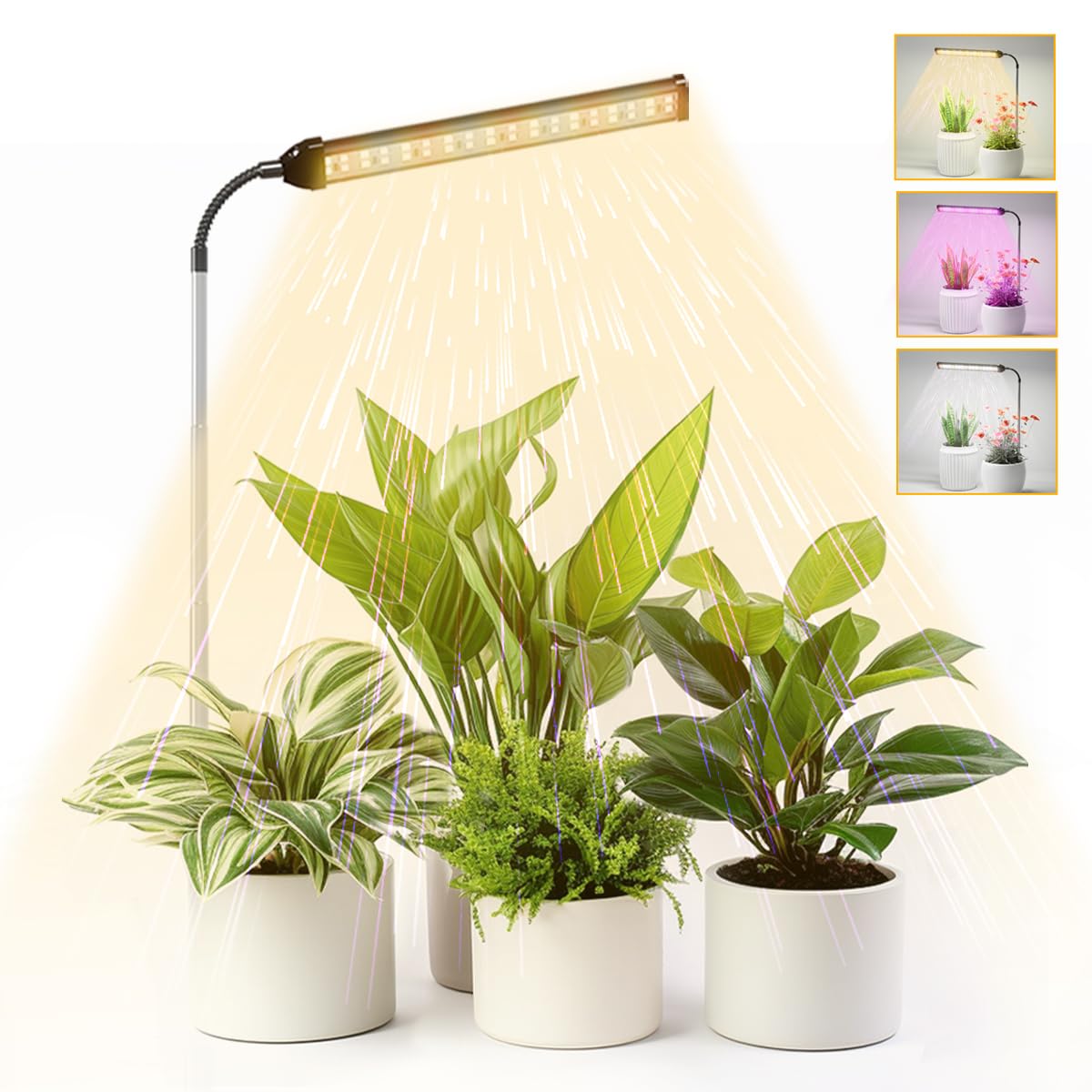 Juhefa LED Grow Light