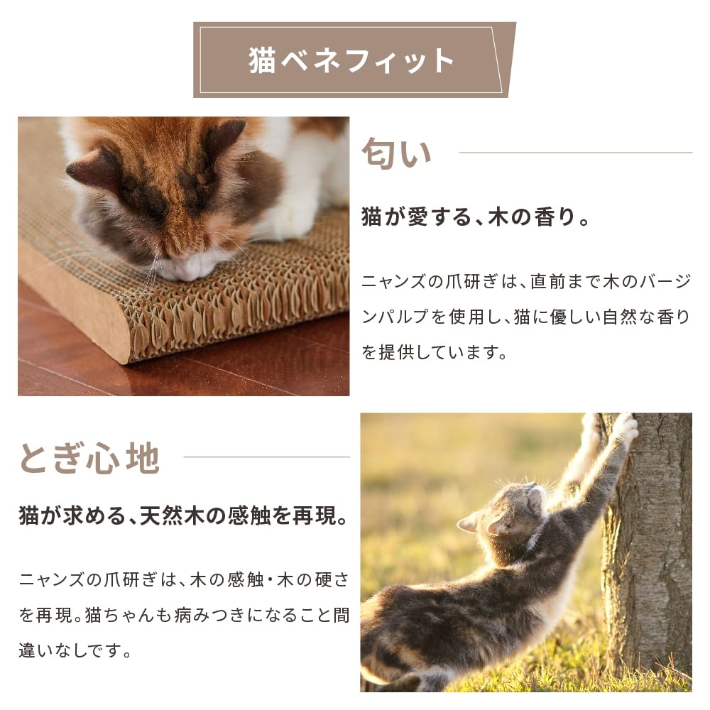 Amazon | 【 とぎカスがでない ・ 1年高耐久 ・ 純日本製