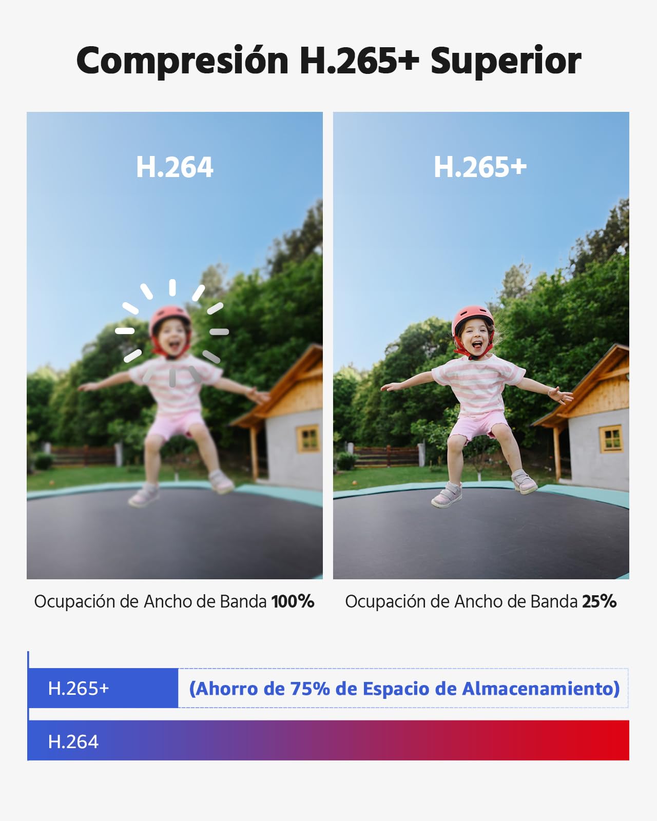 ANNKE 3K Lite 8 Canales DVR 5 en 1 con Detección de Personas/Vehiculos, 8X 1080p Cámaras Visión Nocturna en Color Kit de Videovigilancia con Disco Duro 1TB, Alerta por Email con Imágenes, IP67