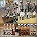 WILLDAN Set of 6-8.5oz Swing Top Glass Bottles - Flip Top Brewing Bottles For Kombucha, Kefir, Vanilla Extract, Beer - Airtight Caps and Leak Proof Lids, Bonus Gaskets and Funnel