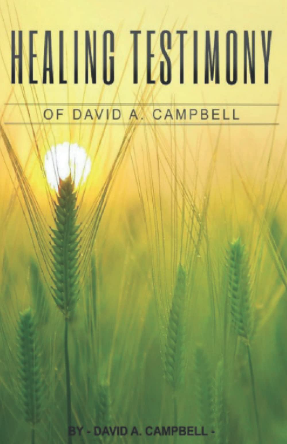 Healing testimony of David A. Campbell (The Healing Testimony of David A. Campbell)