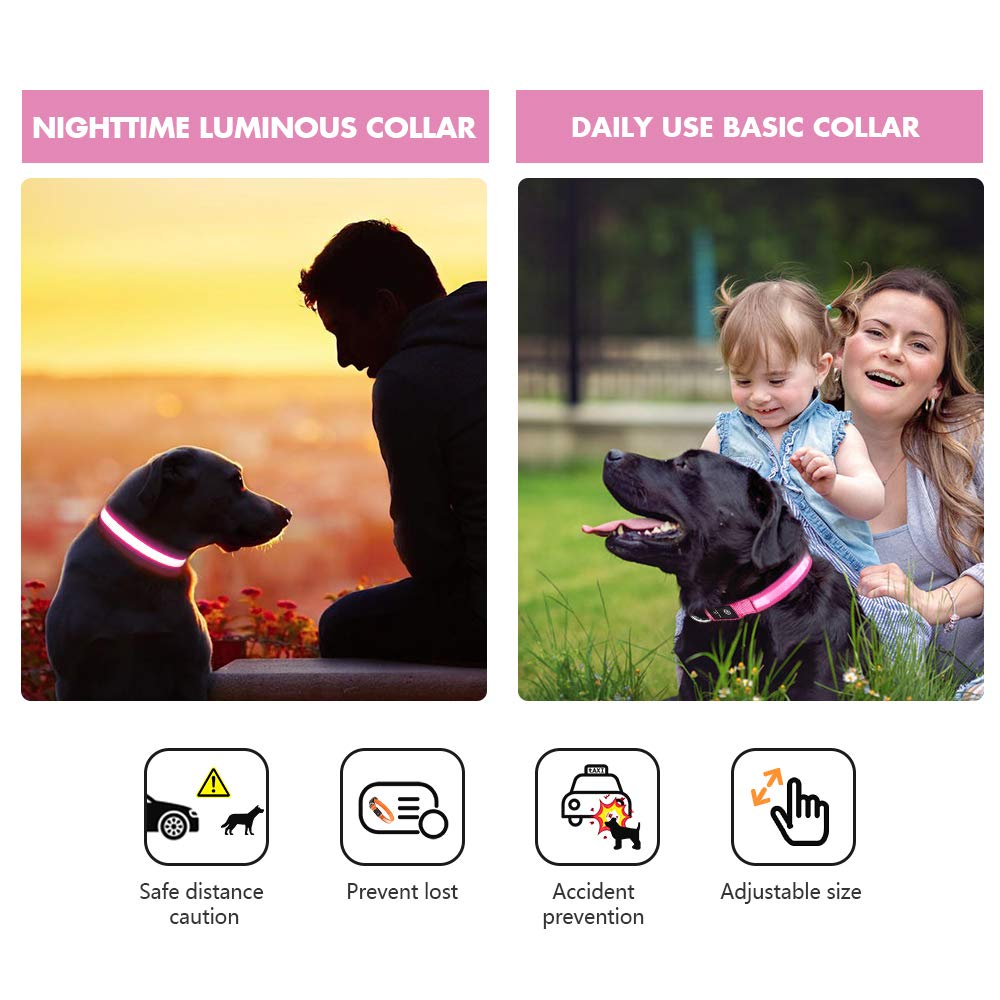 MASBRILL Collare Luminoso per Cani, Collare di Cane LED Ricaricabile e Impermeabile, 3 modalità d'ardore e Misura Regolabile Adatto per Cani di Taglia Piccola Media Grande (S (Confezione da 1), Rosa)