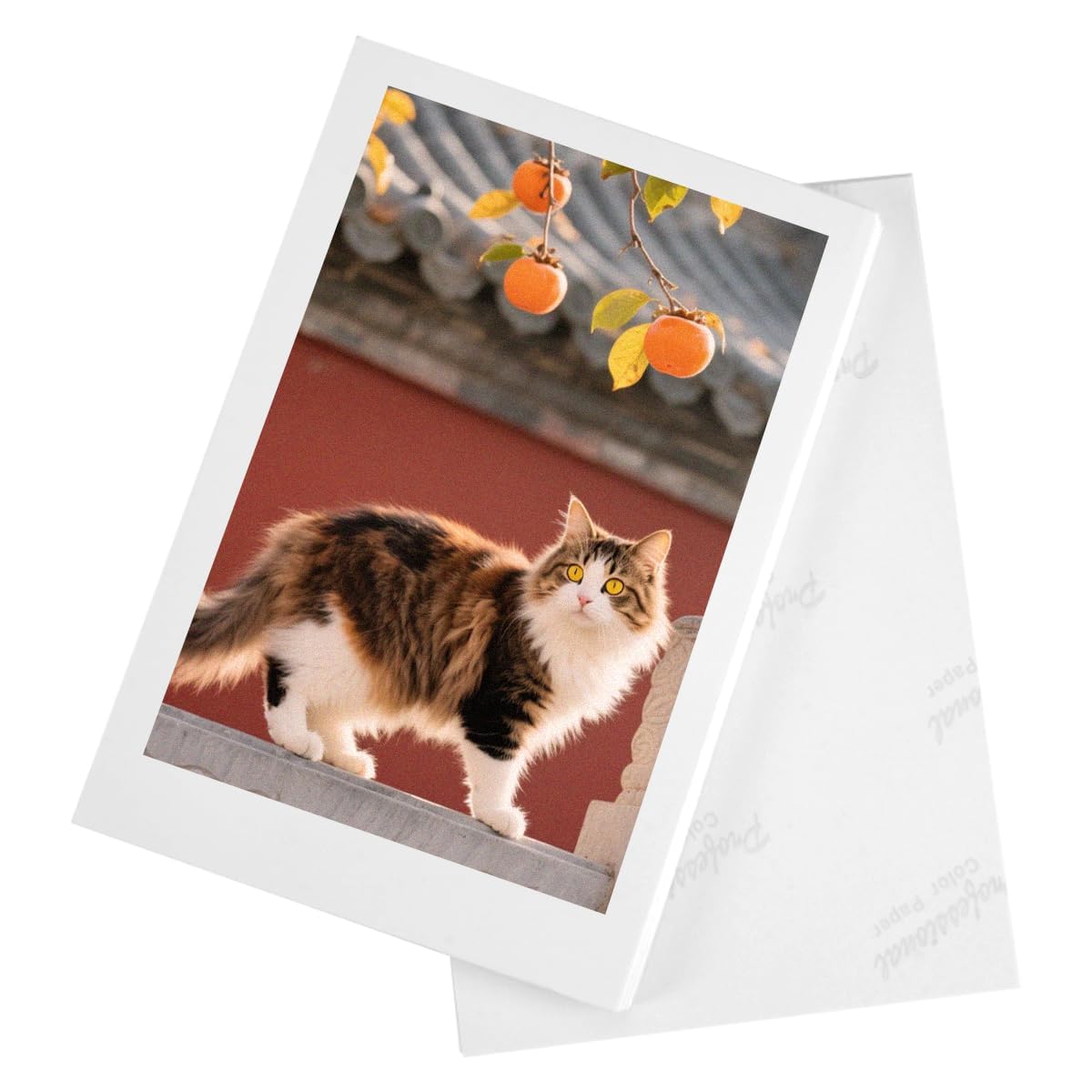 TESSTSY 100 Sheets 4x6 Photo Paper, 180gsm Glossy Photo Paper 6x4 for HP