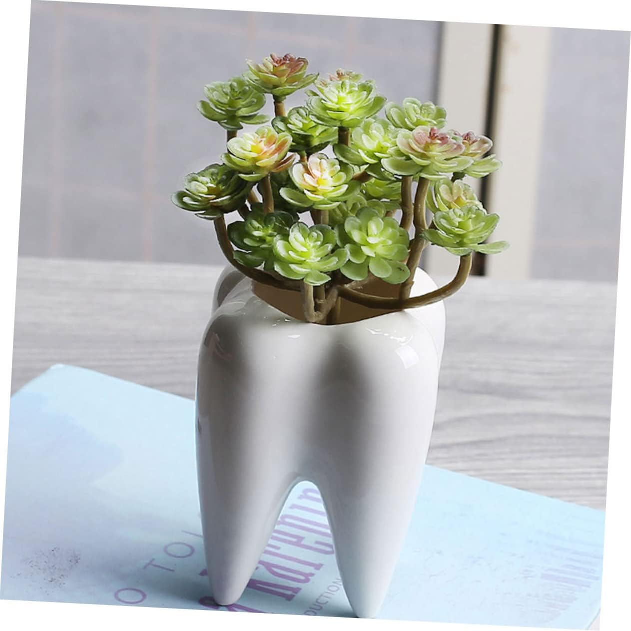 6pcs Ceramic Flower Pots Tooth Shape Succulent Plants Pot Garden Flower Planting for Home Decor