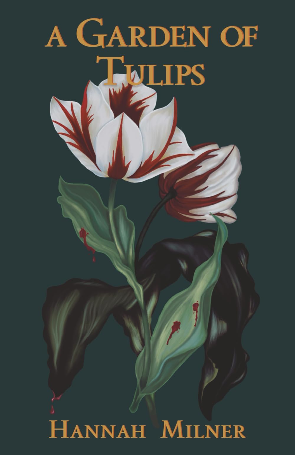 A Garden of Tulips